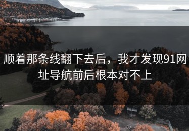 顺着那条线翻下去后，我才发现91网址导航前后根本对不上