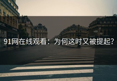 91网在线观看：为何这时又被提起？