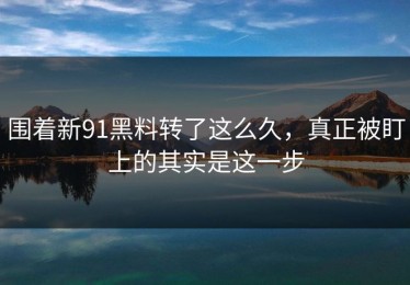 围着新91黑料转了这么久，真正被盯上的其实是这一步