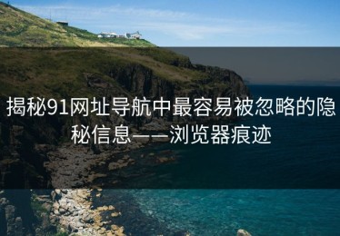 揭秘91网址导航中最容易被忽略的隐秘信息——浏览器痕迹