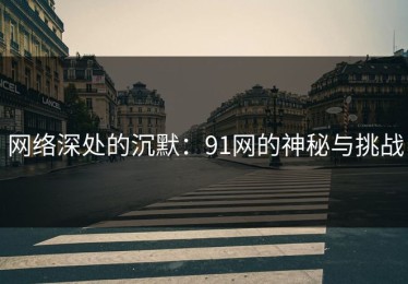 网络深处的沉默：91网的神秘与挑战