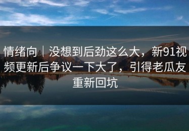 情绪向｜没想到后劲这么大，新91视频更新后争议一下大了，引得老瓜友重新回坑