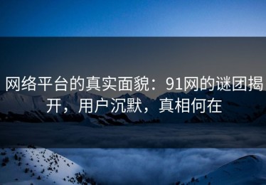 网络平台的真实面貌：91网的谜团揭开，用户沉默，真相何在