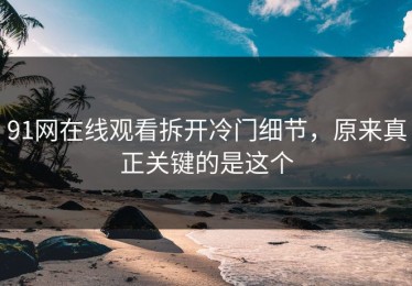 91网在线观看拆开冷门细节，原来真正关键的是这个