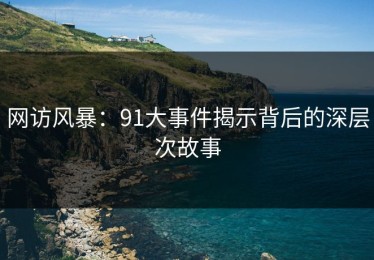 网访风暴：91大事件揭示背后的深层次故事