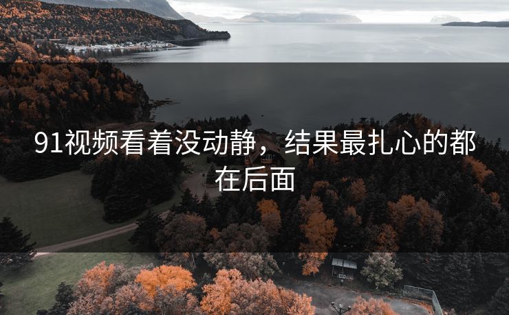 91视频看着没动静，结果最扎心的都在后面
