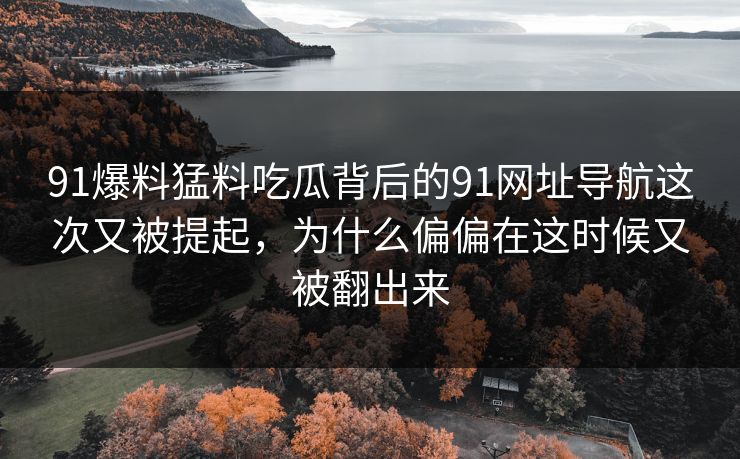 91爆料猛料吃瓜背后的91网址导航这次又被提起，为什么偏偏在这时候又被翻出来
