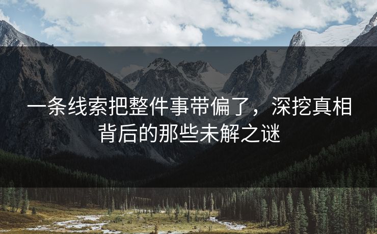 一条线索把整件事带偏了，深挖真相背后的那些未解之谜