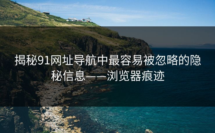 揭秘91网址导航中最容易被忽略的隐秘信息——浏览器痕迹