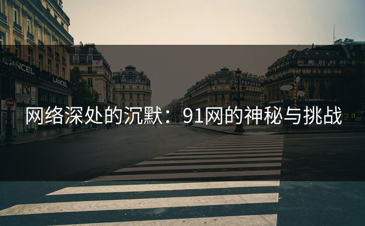 网络深处的沉默：91网的神秘与挑战