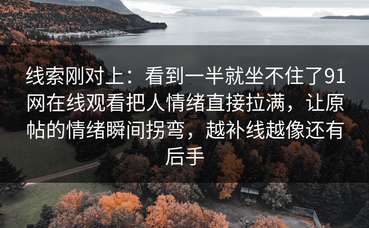 线索刚对上：看到一半就坐不住了91网在线观看把人情绪直接拉满，让原帖的情绪瞬间拐弯，越补线越像还有后手