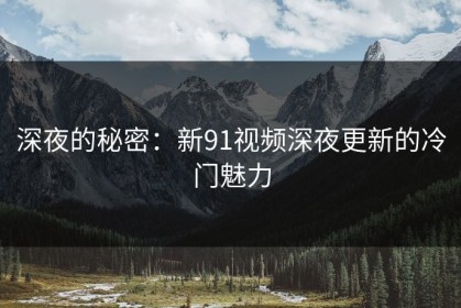 深夜的秘密：新91视频深夜更新的冷门魅力