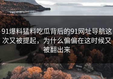 91爆料猛料吃瓜背后的91网址导航这次又被提起，为什么偏偏在这时候又被翻出来