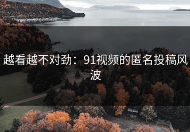 越看越不对劲：91视频的匿名投稿风波