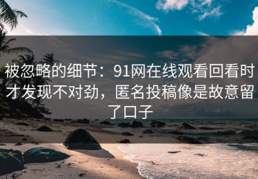 被忽略的细节：91网在线观看回看时才发现不对劲，匿名投稿像是故意留了口子