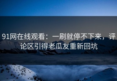 91网在线观看：一刷就停不下来，评论区引得老瓜友重新回坑