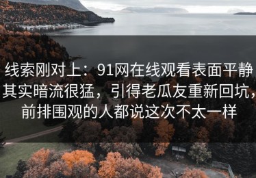 线索刚对上：91网在线观看表面平静其实暗流很猛，引得老瓜友重新回坑，前排围观的人都说这次不太一样