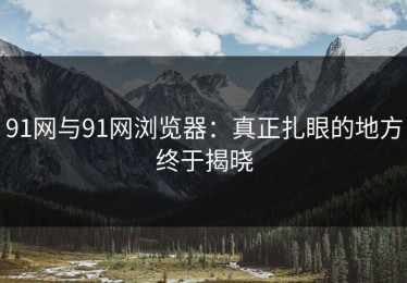 91网与91网浏览器：真正扎眼的地方终于揭晓